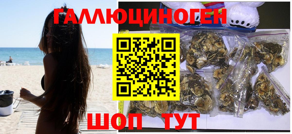 Псилоцибиновые грибы мицелий Реж