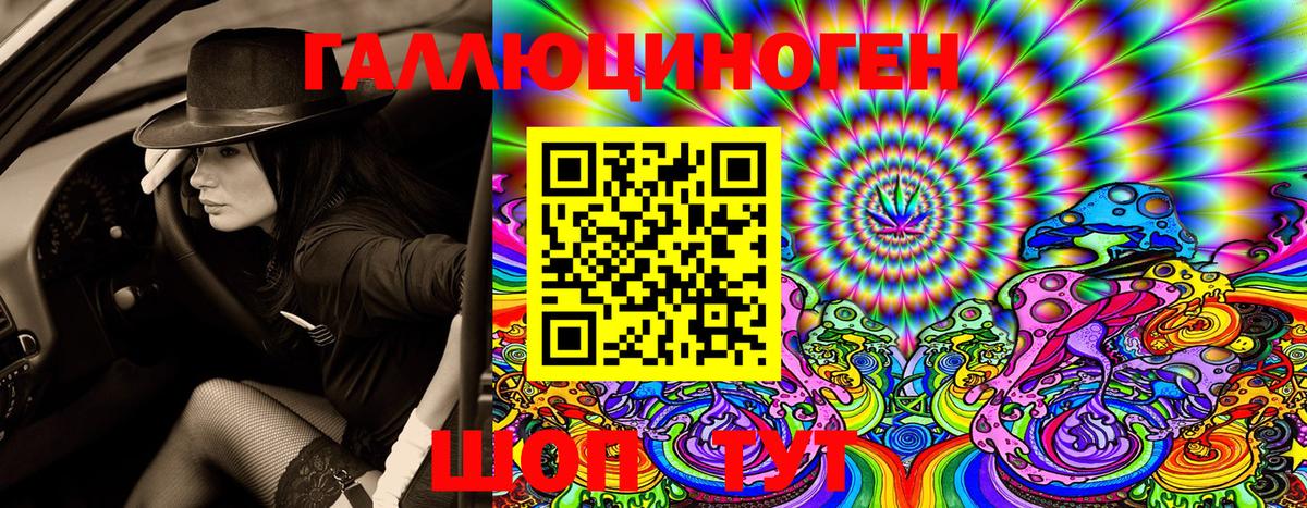 Псилоцибиновые грибы MAGIC MUSHROOMS  Галлюциногенные грибы Psilocybine cubensis  Вход с VPN  Реж 
