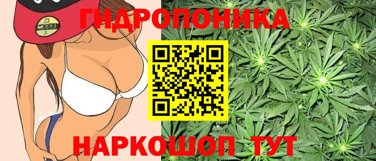 Бошки марихуана LSD WEED  Конопля Amnesia  Вход с VPN  Марихуана SATIVA & INDICA  Бошки марихуана White Widow  Реж 